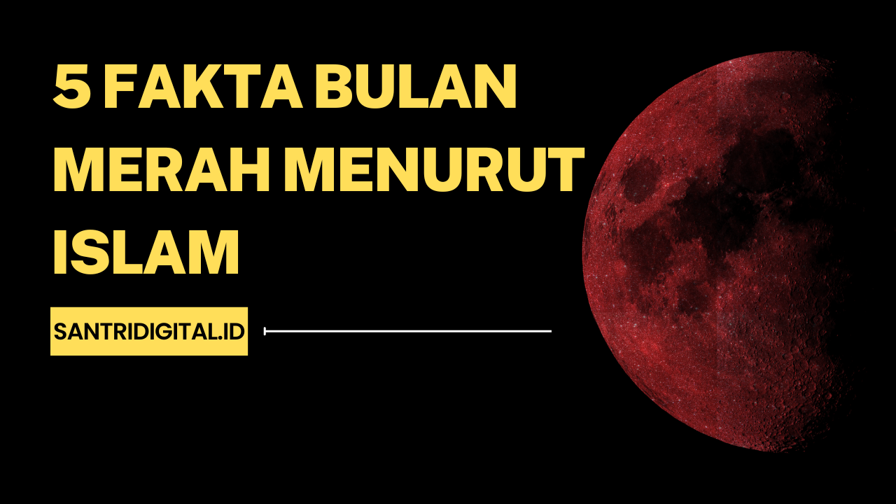 Esensi Akar yang Hanya Tumbuh Saat Bulan Merah: Mitos, Fakta, dan Potensi Tersembunyi