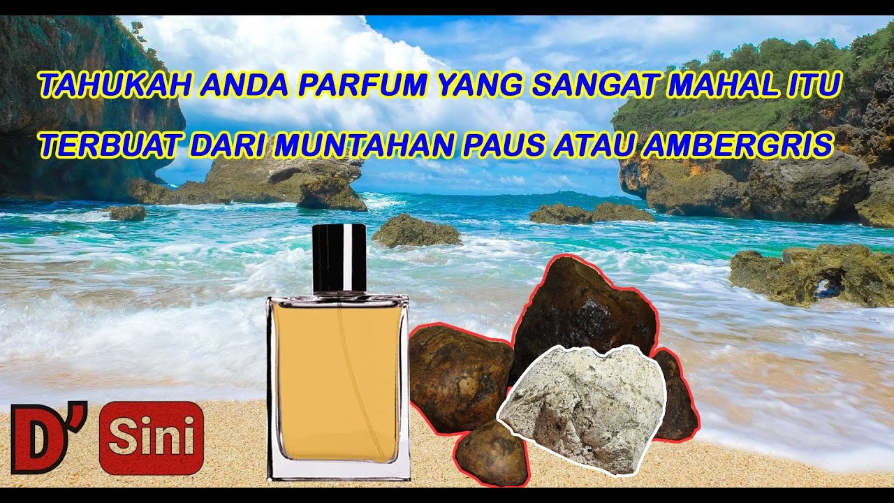 Parfum 'Lachryma Ceti': Aroma Mistis dari Air Mata Paus di Lautan Mimpi